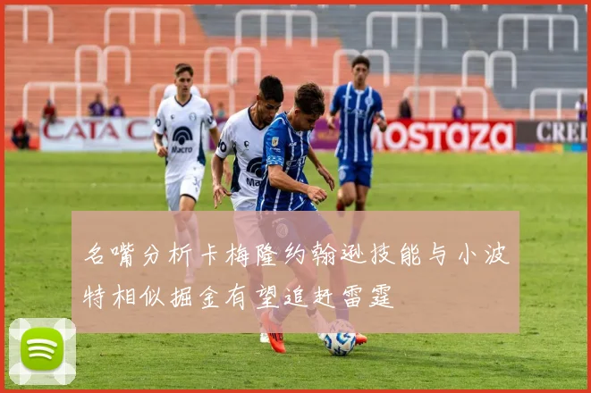 名嘴分析卡梅隆约翰逊技能与小波特相似掘金有望追赶雷霆
