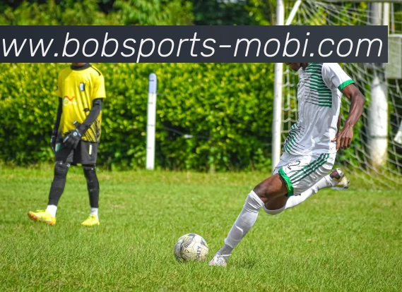 BOB体育APP 封面图